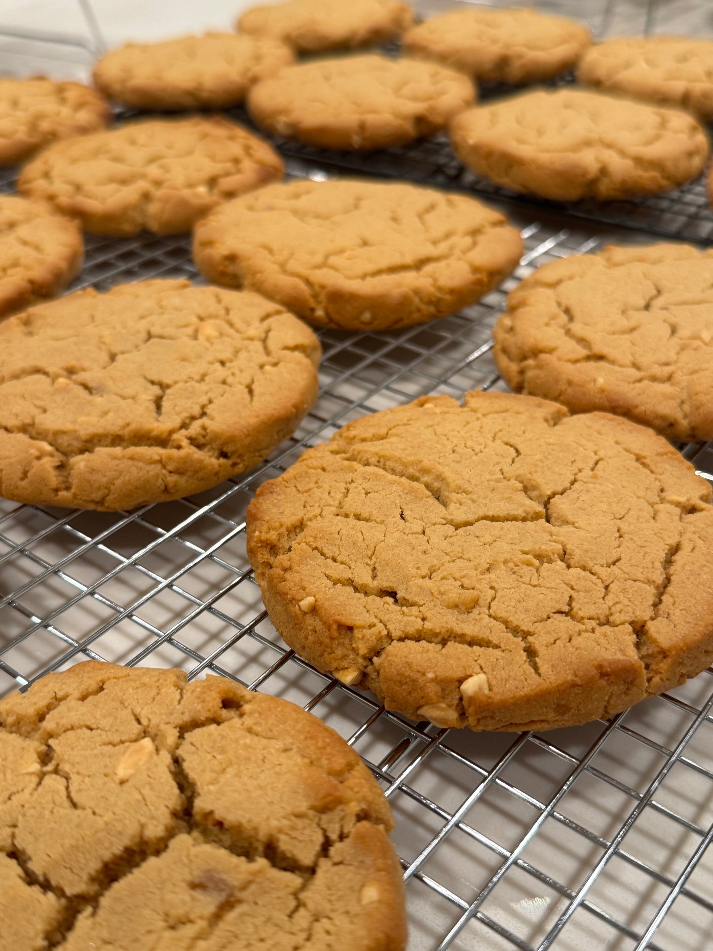 Peanut Butter Cookies