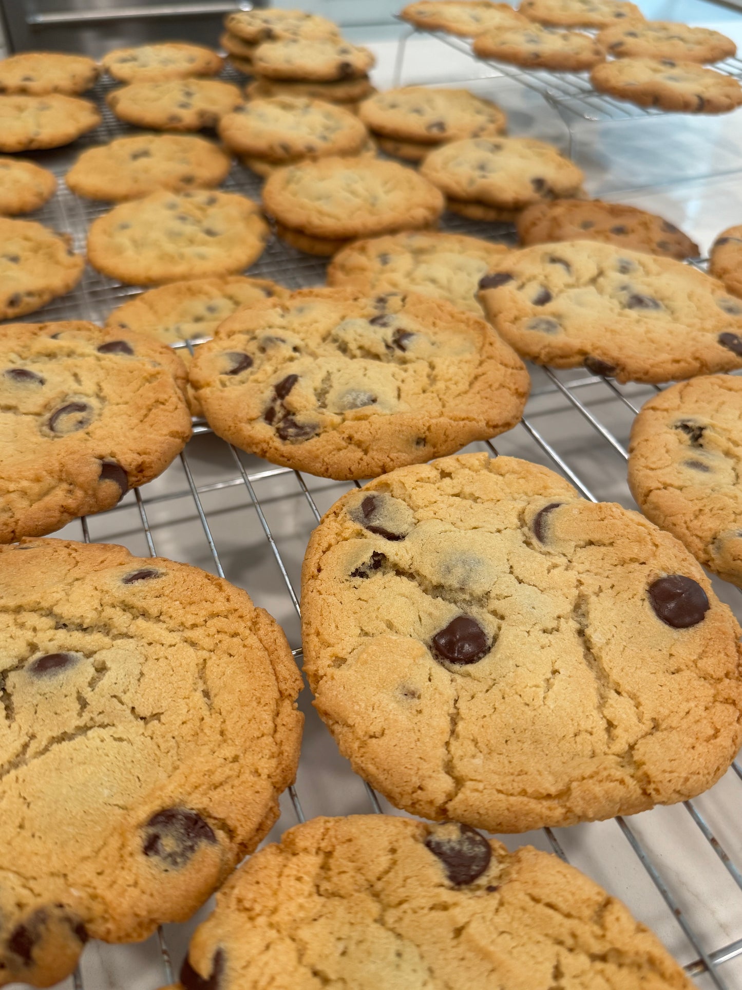 Chocolate Chip Cookie